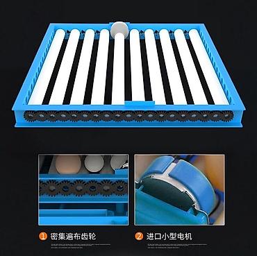 100 yumurta, Çin, Fabrik istehsalı, Tam avtomat, Bütün növ quşlaq üçün - şəkil 5