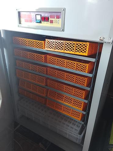 Tam avtomat - şəkil 2