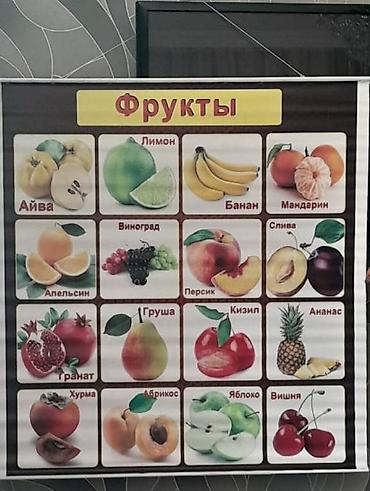 Uşaq bağçalarda tədris üçün və ibtidai təhsil üçün rus dilində olan - şəkil 2