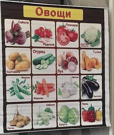 Uşaq bağçalarda tədris üçün və ibtidai təhsil üçün rus dilində olan - şəkil 3