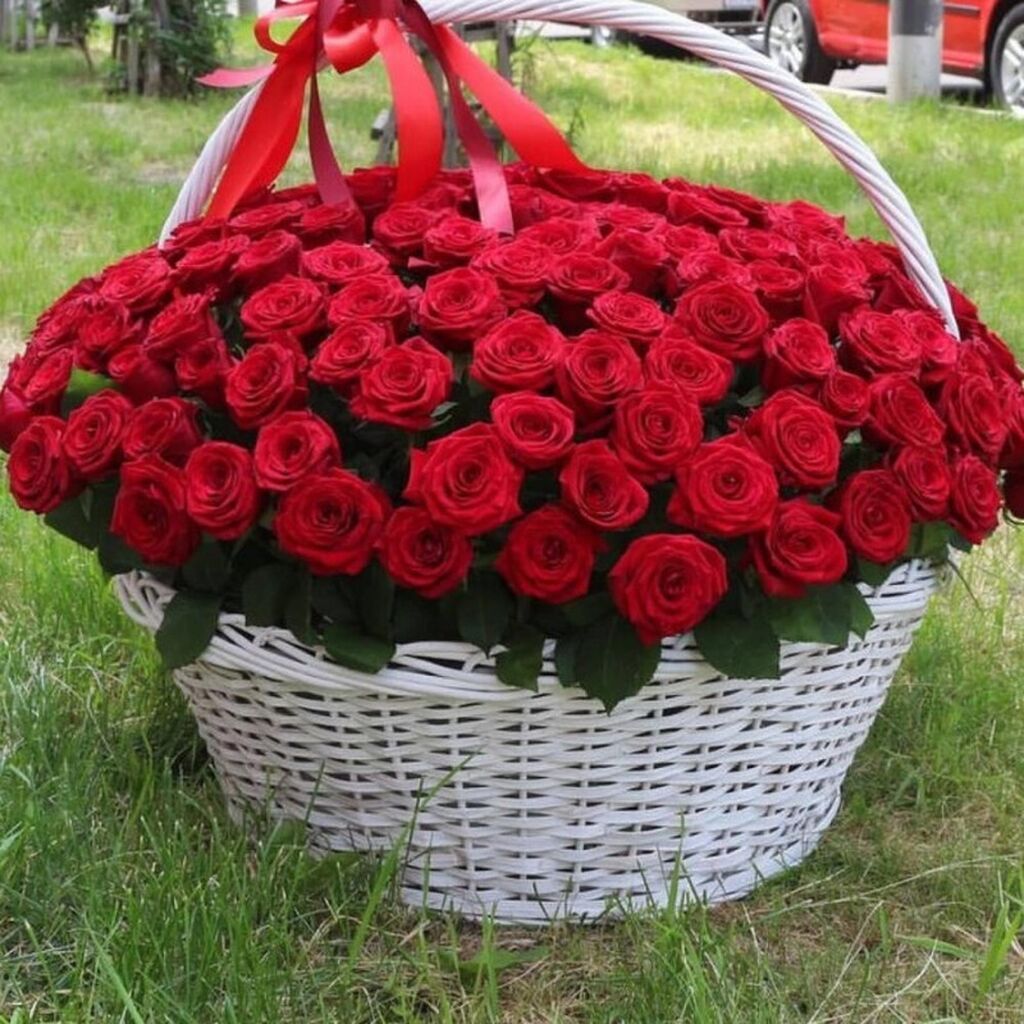 🔴 101 Qızılgul ad yazılması ilə birgə Səbət - 140₼ Orta ölçulü (2ci