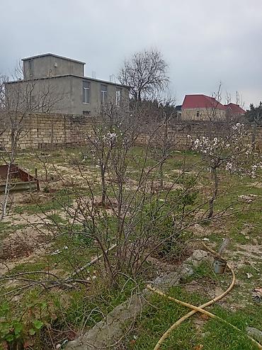 4 sot, Tikinti, Makler, Kupça (Çıxarış) - şəkil 3