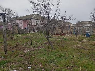 4 sot, Tikinti, Makler, Kupça (Çıxarış) - şəkil 4