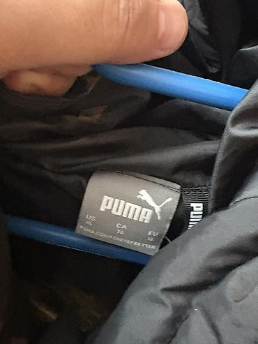Kurtka, Bolonka, Qış, Puma, XL - şəkil 3