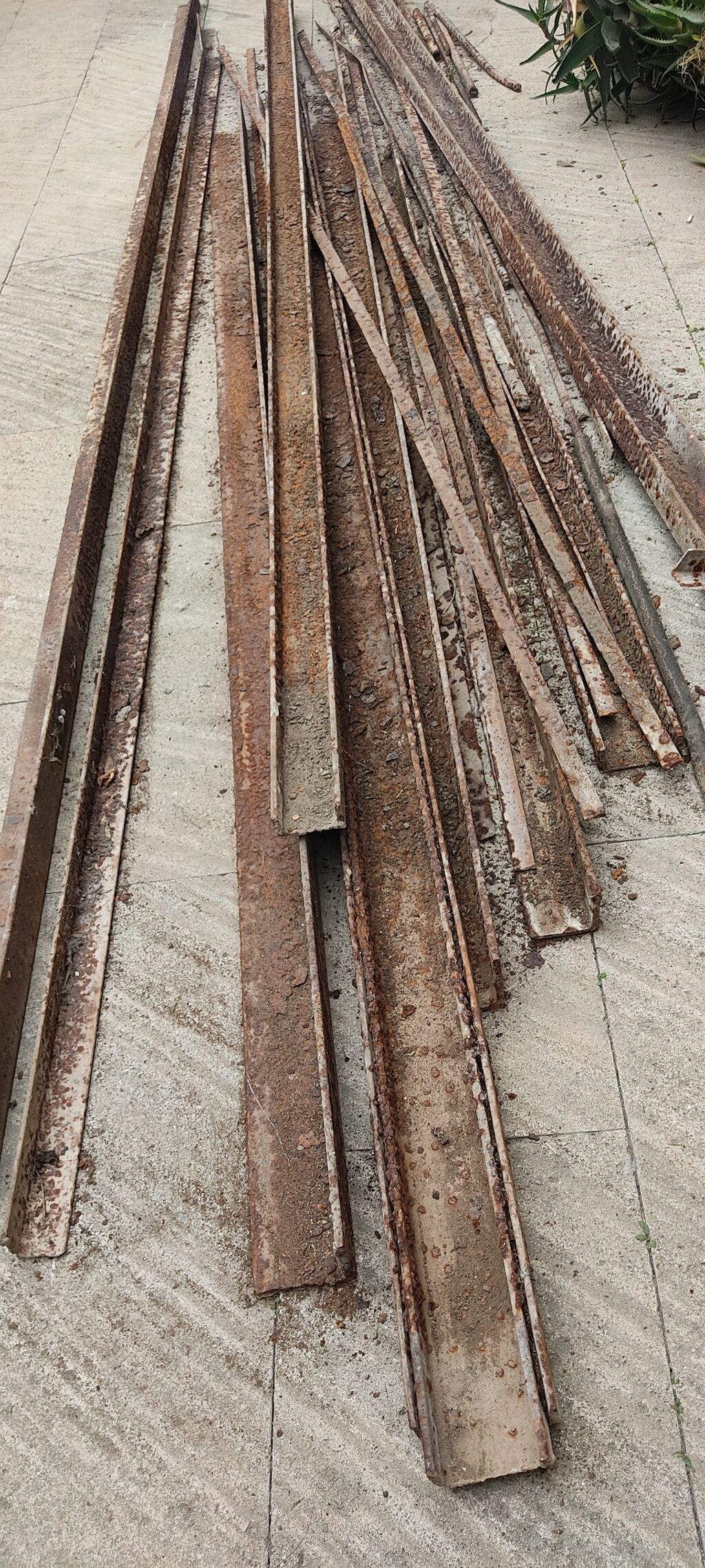 Profil, Kredit yoxdur