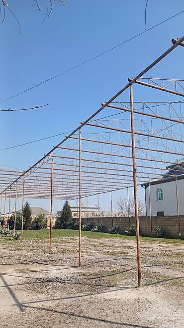 Hazır Navest Satılır - şəkil 4