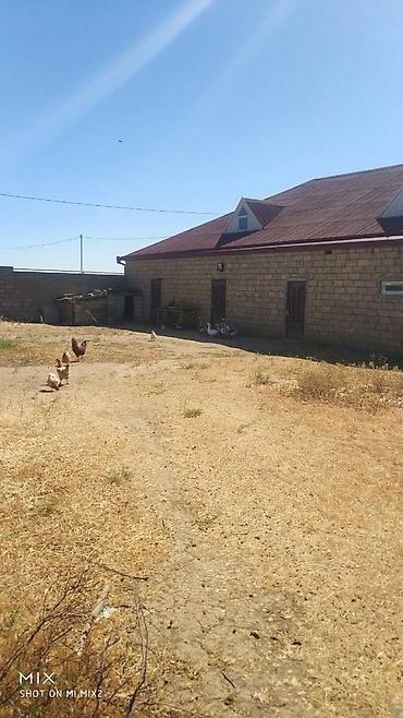 Qiymətdə endirim olundu. Abşeron rayonu, yeni saray qəsəbəsində - şəkil 3