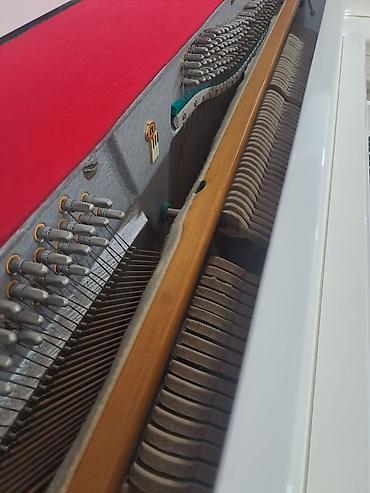 Belarus rusiya istesali renklenmis 3 pedal dasinma koklenme zemaneti - şəkil 5