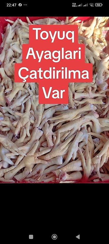 Itdercun En ucuz yem bizde Magaza Kurdexanida yerlesir Çatdirilma var - şəkil 5