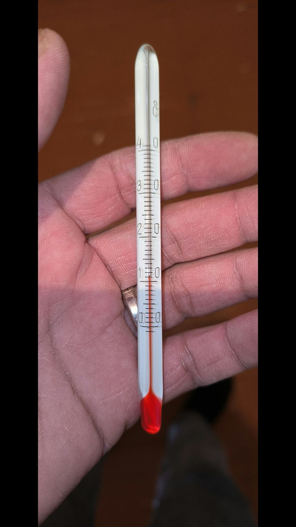 Riyal alçı zəng elsin