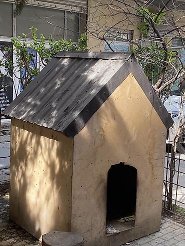 Taxta it evi600manata hazirlaymisiq tam izolyasiyalidi boyuk it ucunde - şəkil 2