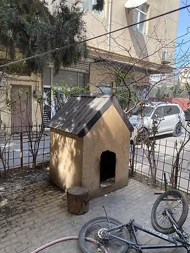 Taxta it evi600manata hazirlaymisiq tam izolyasiyalidi boyuk it ucunde - şəkil 3