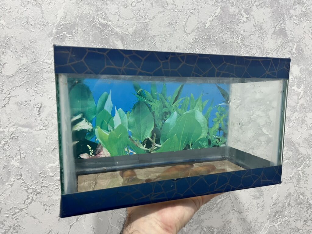 Dördbucaq akvarium, Boş, 7 l, Ödənişli çatdırılma