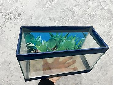 Dördbucaq akvarium, Boş, 7 l, Ödənişli çatdırılma - şəkil 3