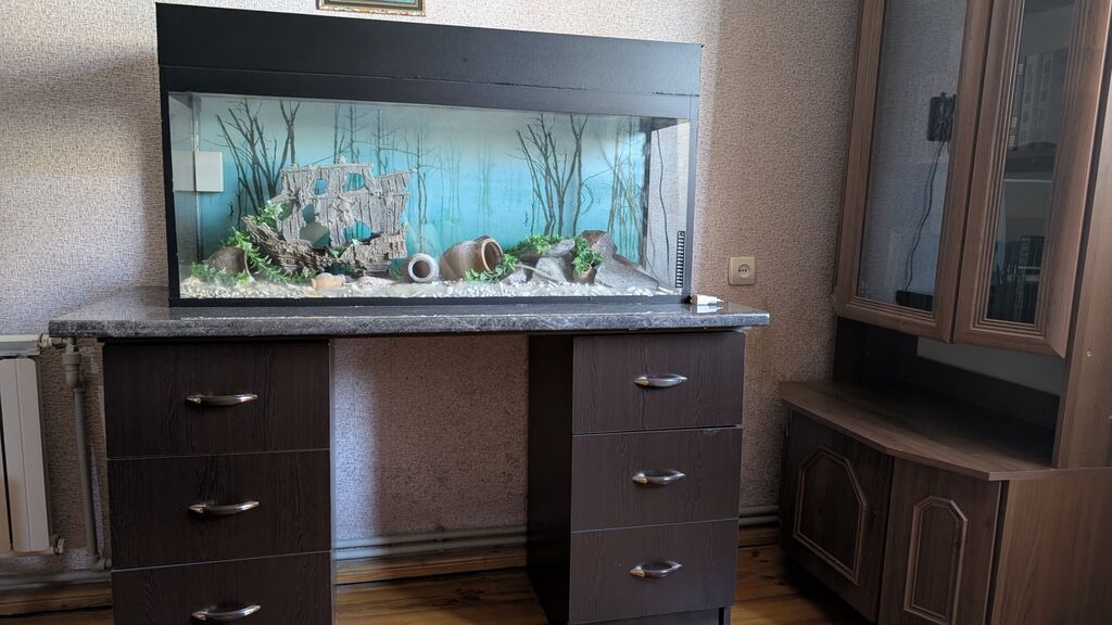 Dördbucaq akvarium, Boş, 200 l, Ünvandan götürmə