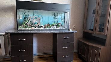 Dördbucaq akvarium, Boş, 200 l, Ünvandan götürmə - şəkil 2