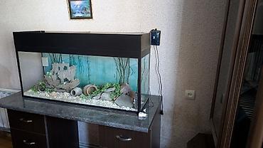 Dördbucaq akvarium, Boş, 200 l, Ünvandan götürmə - şəkil 3