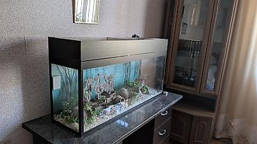 Dördbucaq akvarium, Boş, 200 l, Ünvandan götürmə - şəkil 4