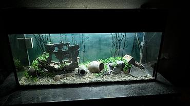 Dördbucaq akvarium, Boş, 200 l, Ünvandan götürmə - şəkil 5