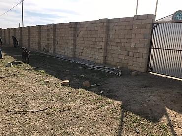 Şirvan şeheri kend evleri 12 sot torpaq sahesi Sened Belediyye - şəkil 3