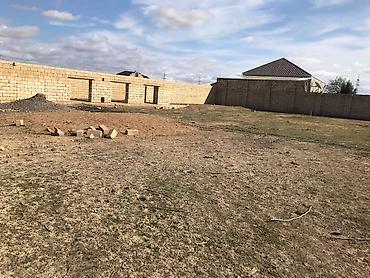 Şirvan şeheri kend evleri 12 sot torpaq sahesi Sened Belediyye - şəkil 4