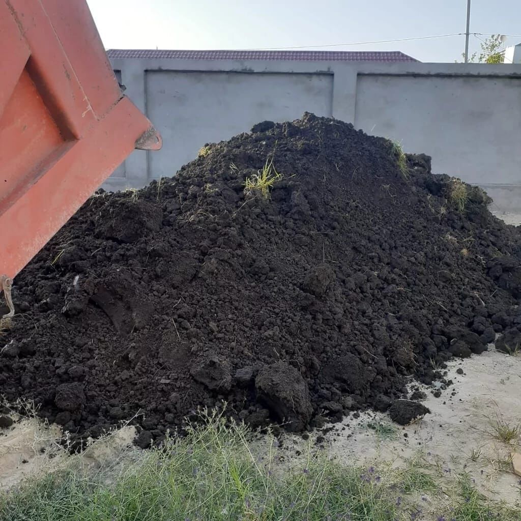 Şəhid ailələrinə çatdırılma pulsuzdur. Qara torpaq Şamaxı İsmayıllı