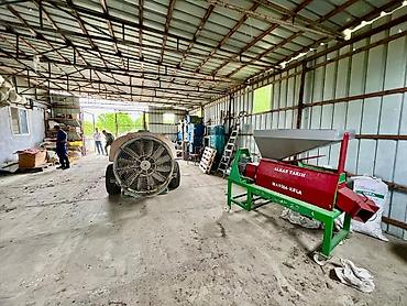 Badam bağı 8 yaşında. Şabranda 8 ha Badam bağı, ceşidi Feraduel və - şəkil 4