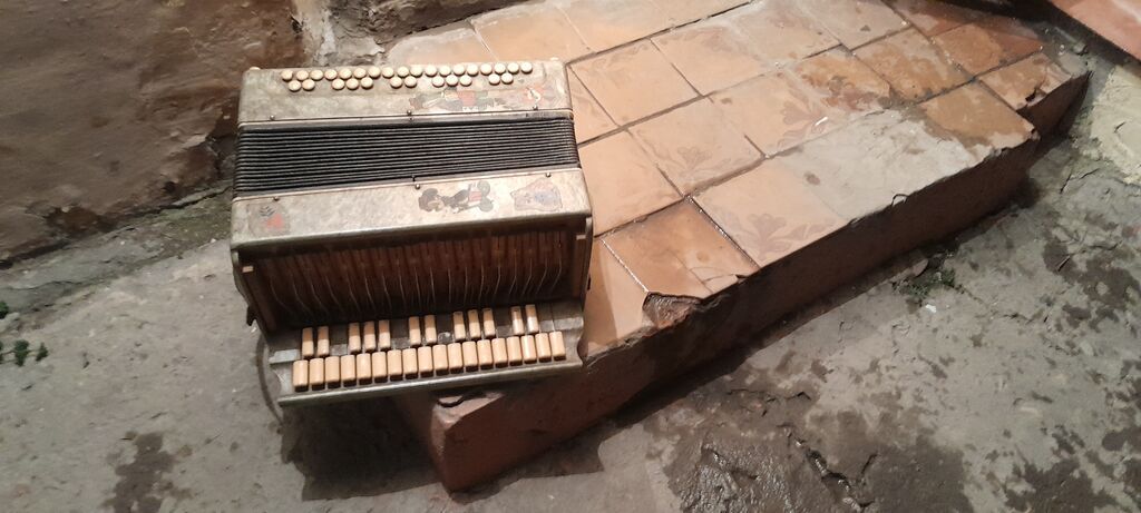 KoHNeNiNDiR KiMe LaZiM OLSa eLaQe SaXLaYaR