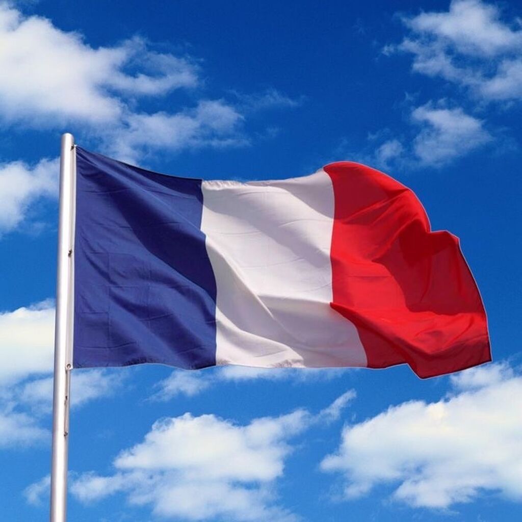 Xarici dil kursu, Fransız dili, Böyüklər üçün, Uşaqlar üçün, Danışıq klubu