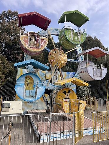 Uşaq əyləncə attraksionu – “Kiçik günəş” mini fırlanan çarx - Tip - şəkil 3