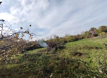 3 sot, Kupça (Çıxarış) - şəkil 5