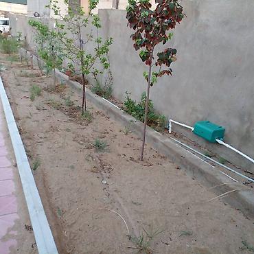 Bilgəh qəs., 100 kv. m, 3 otaqlı, Kombi, Qaz, İşıq - şəkil 5