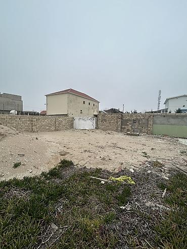 Hövsan qəsəbəsi, Kondisioner bağları — 8 sot torpaq sahəsində yerləşən - şəkil 3