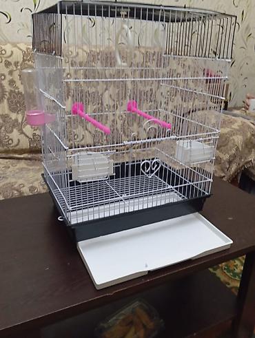 Salam. Iri qefes satilir. Eziyi sinigi pasi yoxdur. Tezeden secilmir - şəkil 2