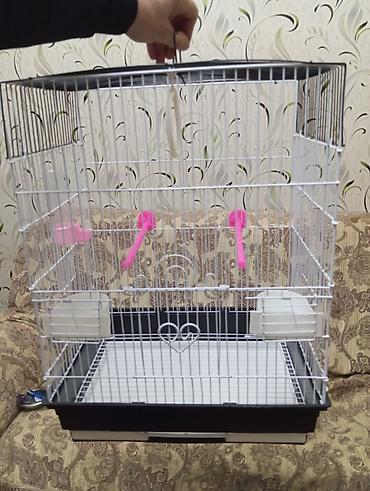 Salam. Iri qefes satilir. Eziyi sinigi pasi yoxdur. Tezeden secilmir - şəkil 3