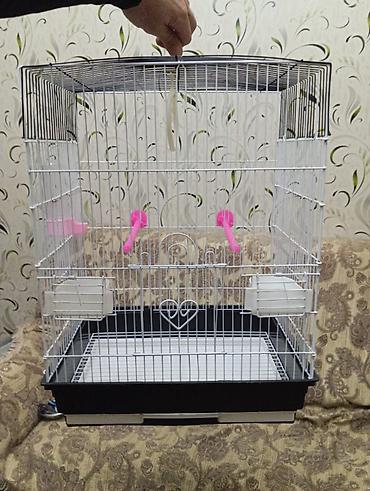 Salam. Iri qefes satilir. Eziyi sinigi pasi yoxdur. Tezeden secilmir - şəkil 4