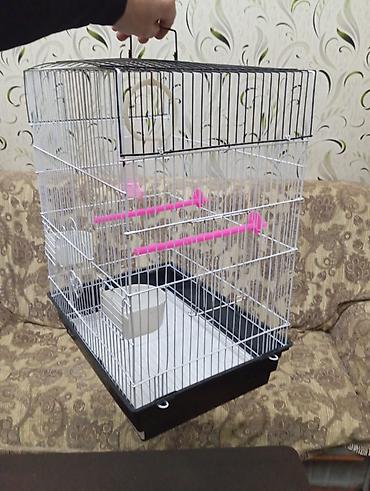 Salam. Iri qefes satilir. Eziyi sinigi pasi yoxdur. Tezeden secilmir - şəkil 5