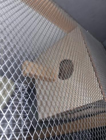 Salam quşlar üçün yuvadır təmiz taxdadan içərisində quş yumurtlaması - şəkil 2