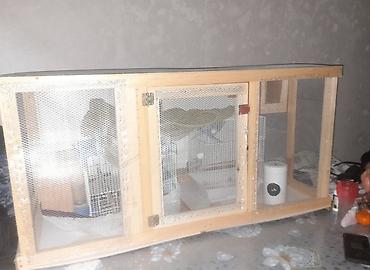 Salam quşlar üçün yuvadır təmiz taxdadan içərisində quş yumurtlaması - şəkil 4