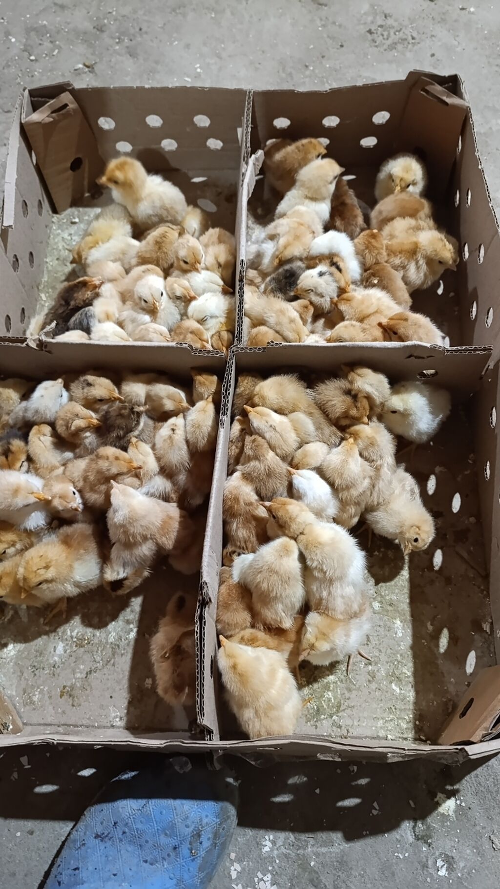 Salam herkese bayraminiz mübarək olsun sufreniz ruzulu bərəkətli olsun