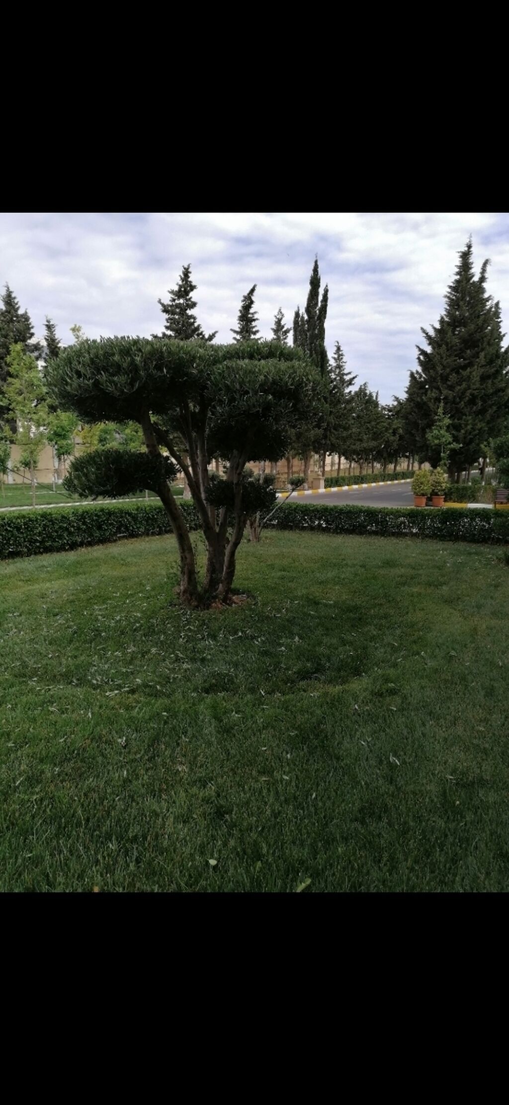 Təmizlik | Həyətlər | Ümumi təmizlik