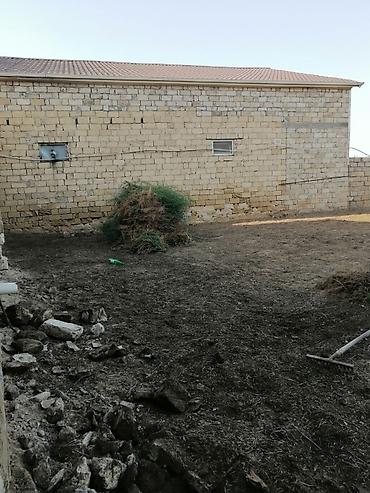 Təmizlik | Həyətlər | Ümumi təmizlik - şəkil 2