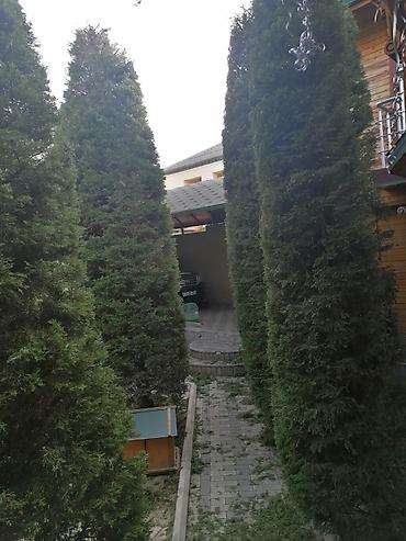 Təmizlik | Həyətlər | Ümumi təmizlik - şəkil 4