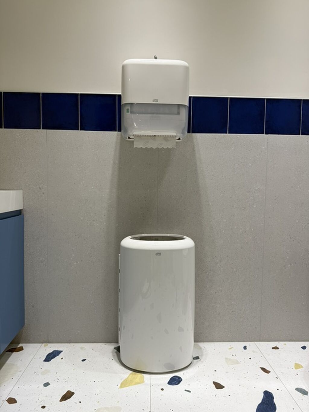 Məhsul: İctimai sanitariya otaqları üçün divara quraşdırılan kağız