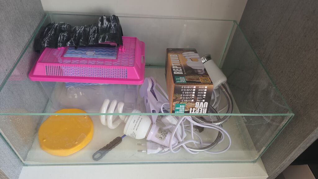 Tısbağa üçün şüşə qab, ultra lampa, qızdırıcı lampa, əldə daşımaq üçün