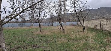 Şəki, 70 kv. m, 3 otaqlı, Hovuzsuz, Kommunal xətlər qoşulmayıb - şəkil 4