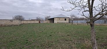 Şəki, 70 kv. m, 3 otaqlı, Hovuzsuz, Kommunal xətlər qoşulmayıb - şəkil 5