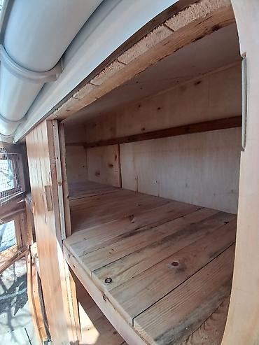 Taxta quşxana / toyuq damı matryal sizden duzeltmey bizden zehmet haki - şəkil 2