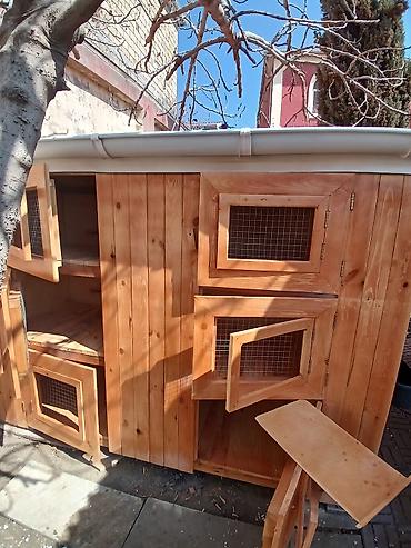 Taxta quşxana / toyuq damı matryal sizden duzeltmey bizden zehmet haki - şəkil 3