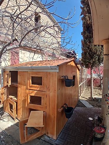 Taxta quşxana / toyuq damı matryal sizden duzeltmey bizden zehmet haki - şəkil 4